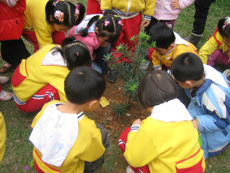 幼儿园小班环境布置_小班新学期环境布置_小小班环境布置